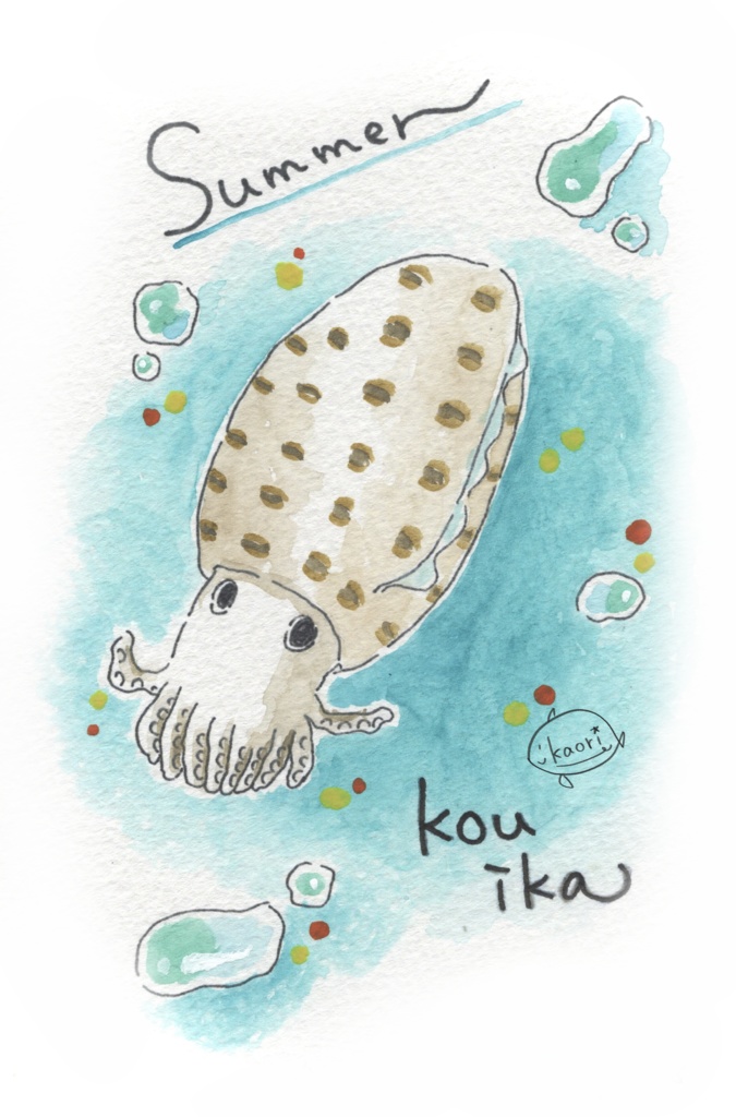 ポストカード(イカさん)