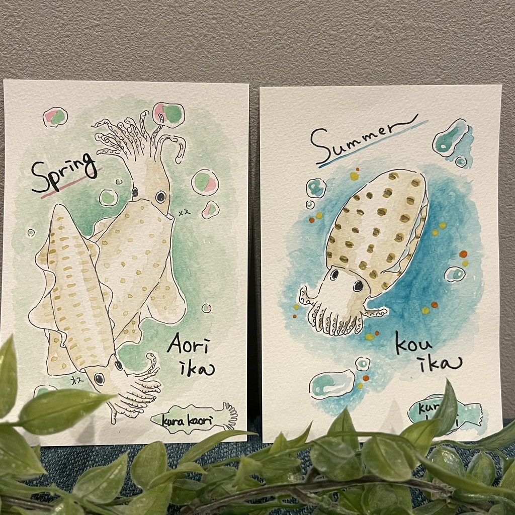 ポストカード(イカさん)