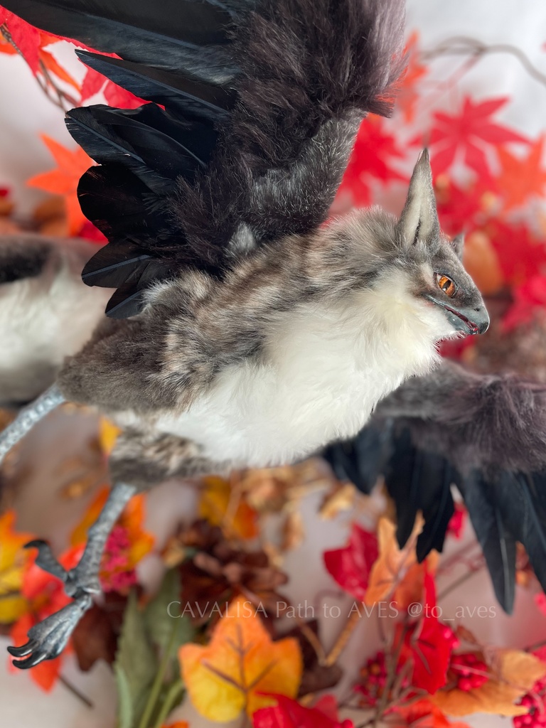 ウルフグリフォン〈アートドール〉