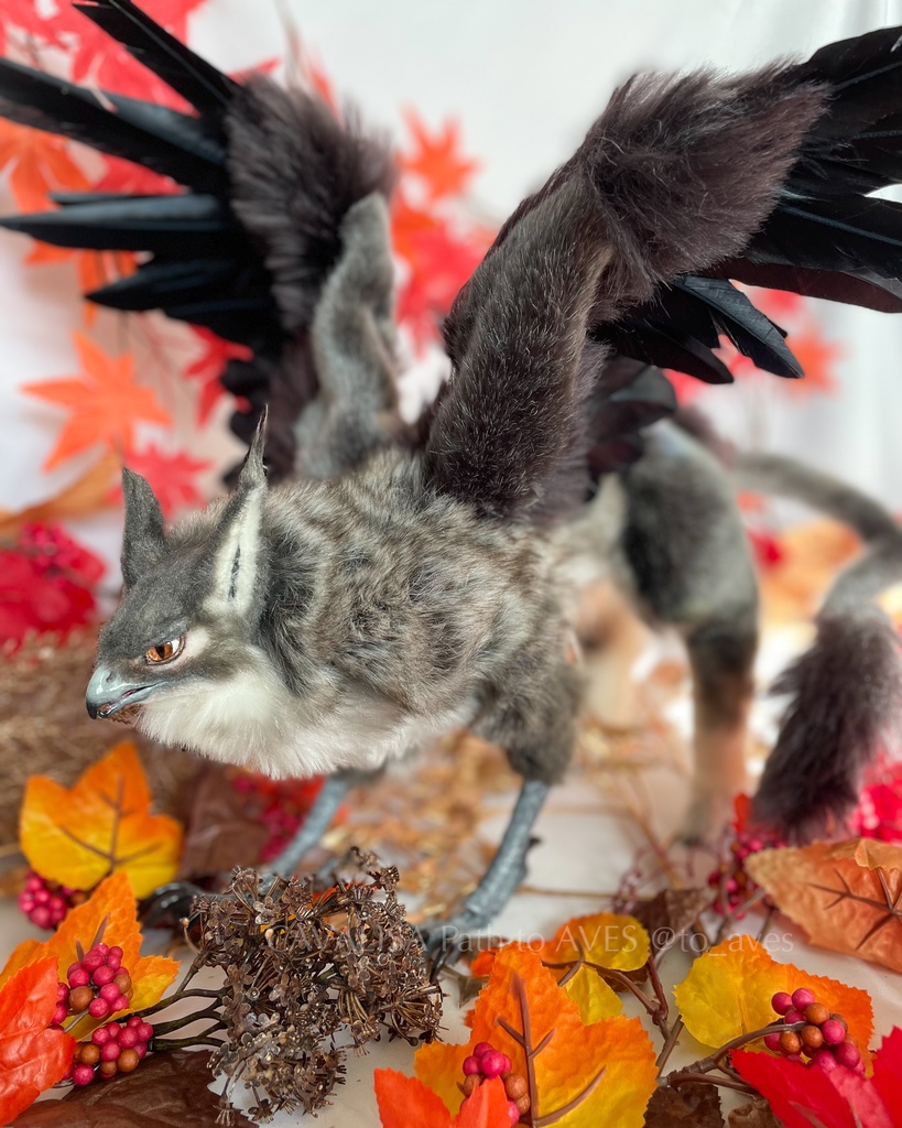 ウルフグリフォン〈アートドール〉