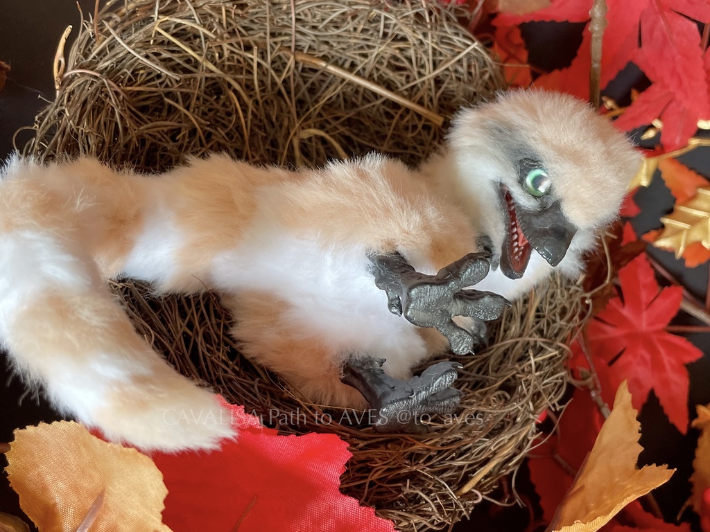 シノサウロプテリクス