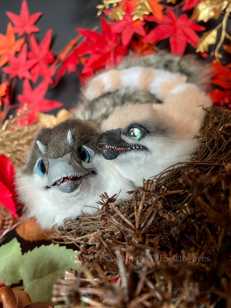 ベビーユウティラヌス