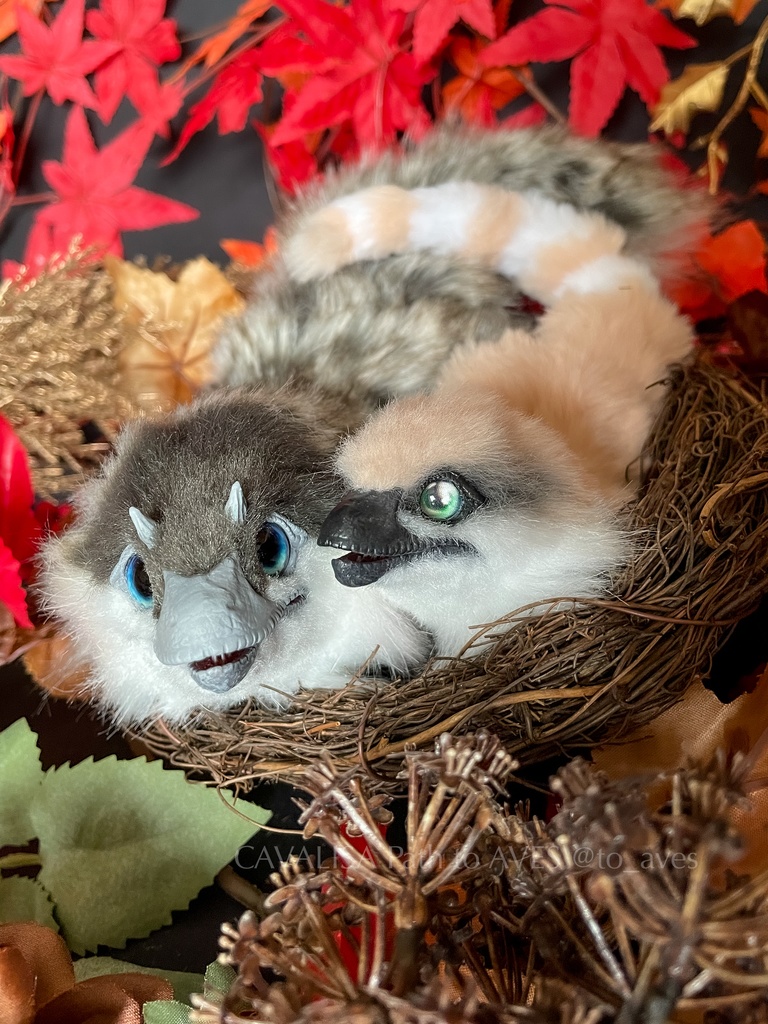 ベビーユウティラヌス