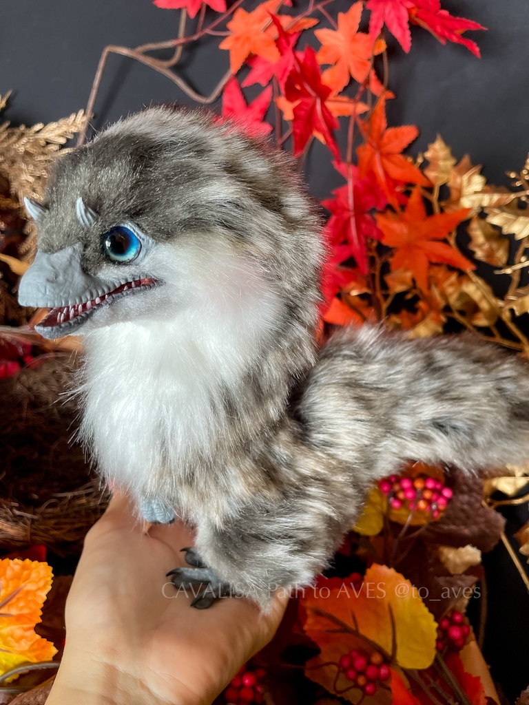 ベビーユウティラヌス