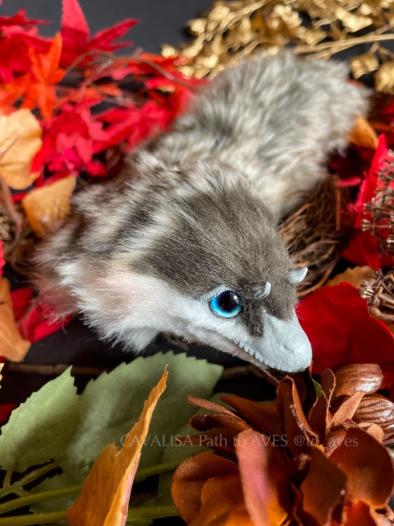 ベビーユウティラヌス