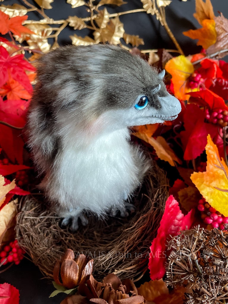 ベビーユウティラヌス