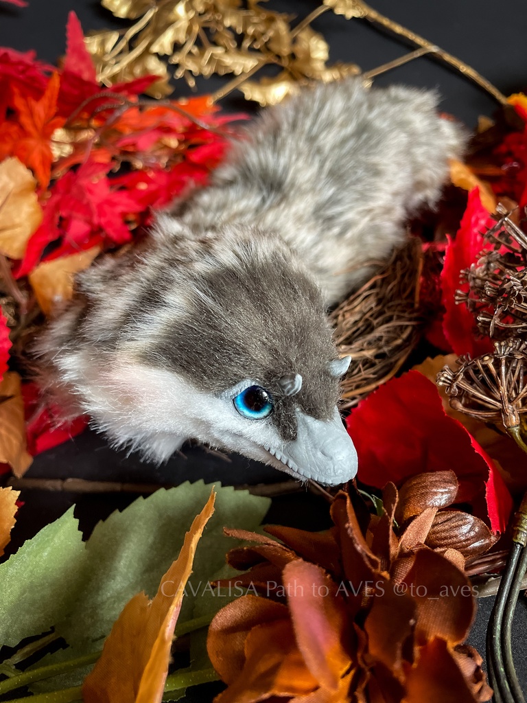 ベビーユウティラヌス