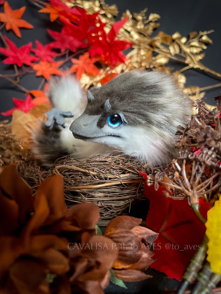 ベビーユウティラヌス