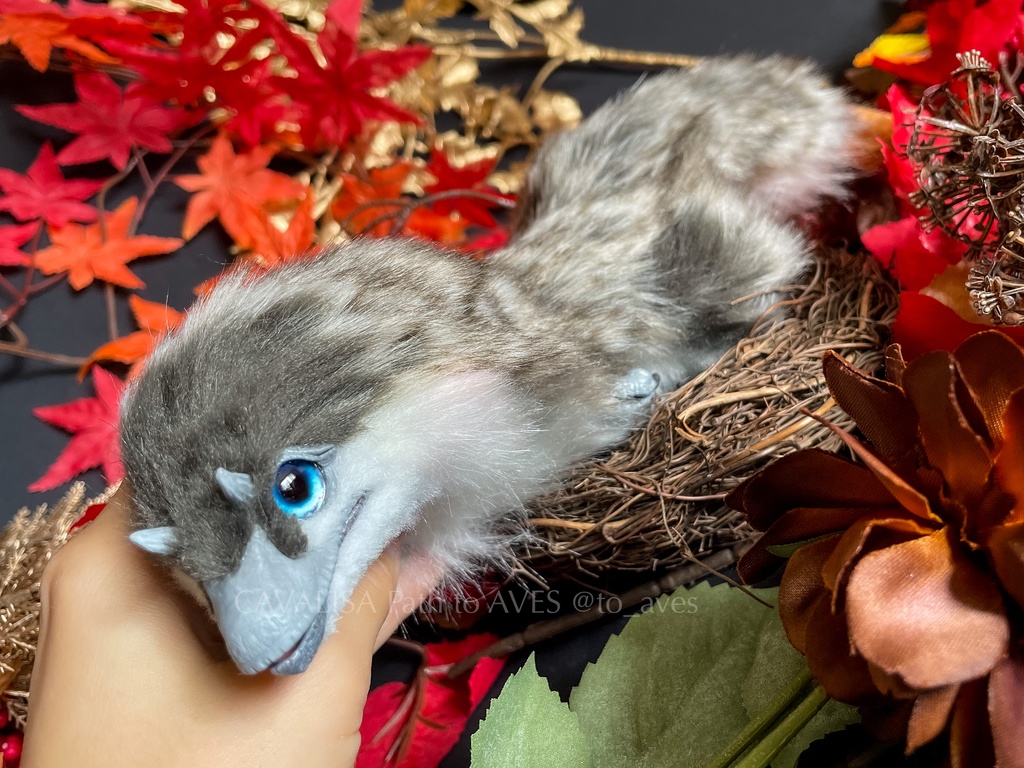 ベビーユウティラヌス