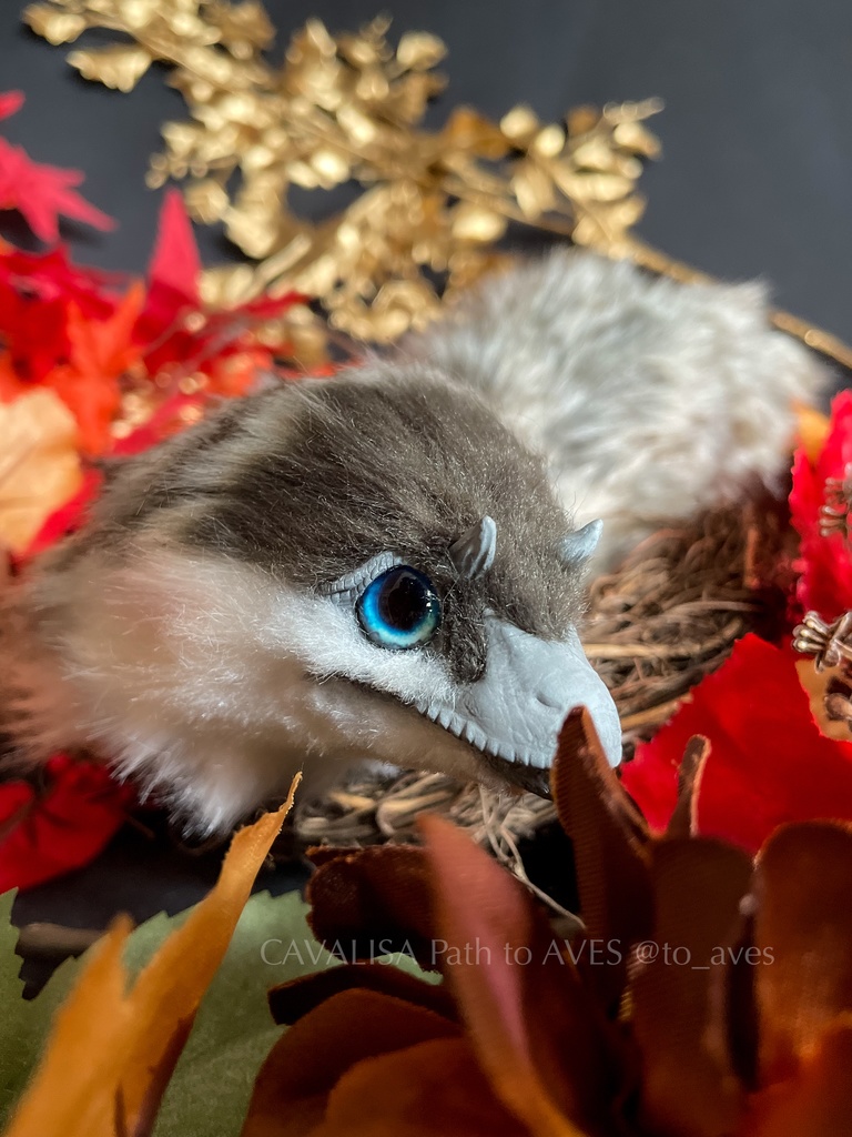 ベビーユウティラヌス