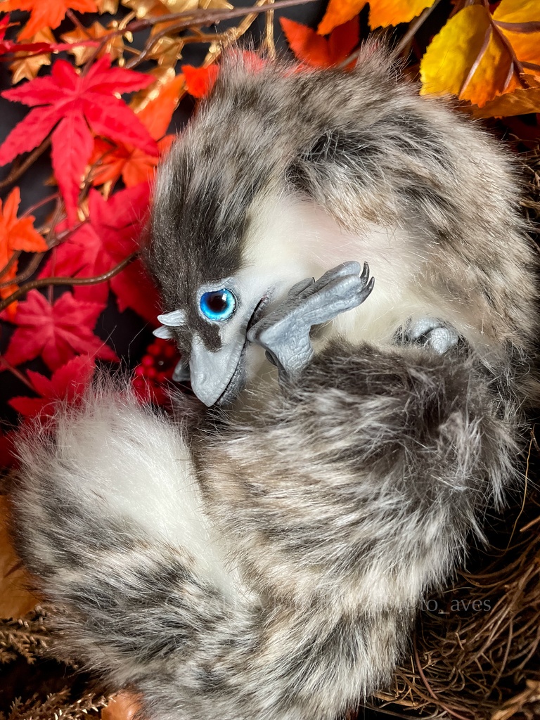 ベビーユウティラヌス