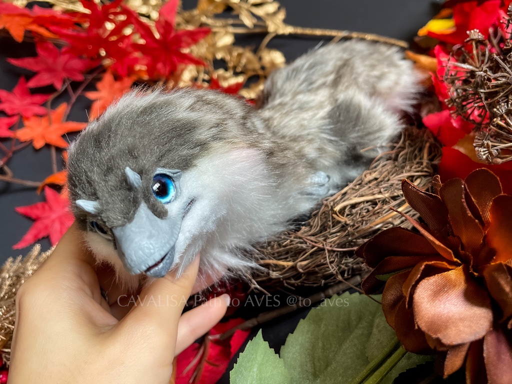 ベビーユウティラヌス