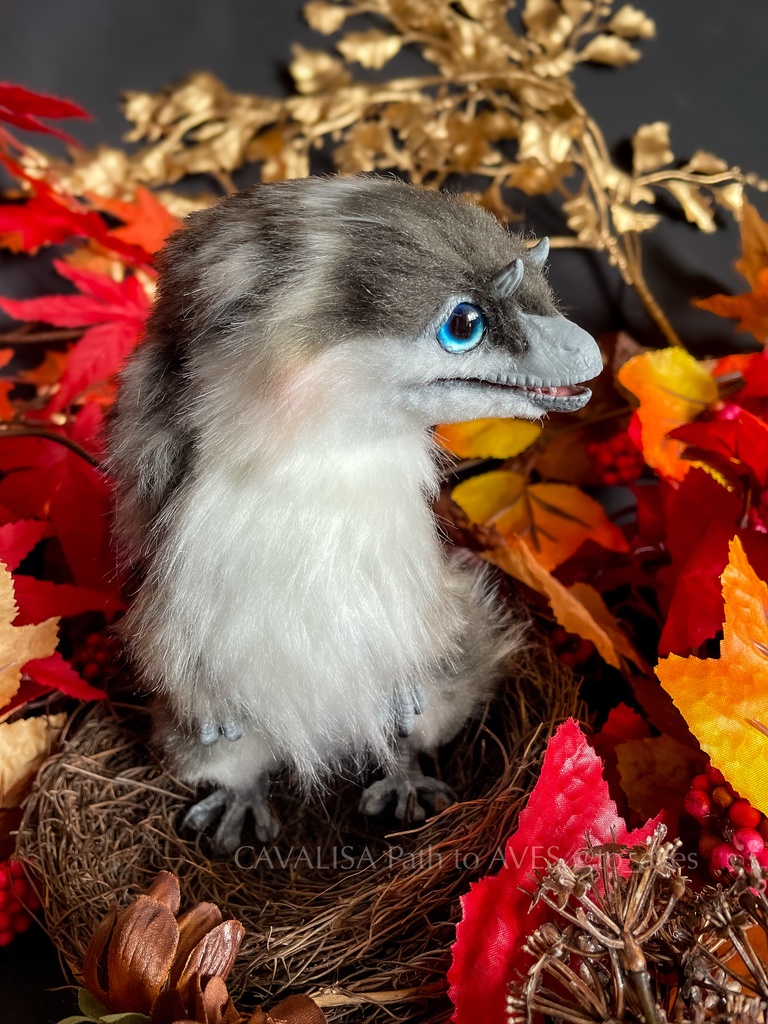 ベビーユウティラヌス