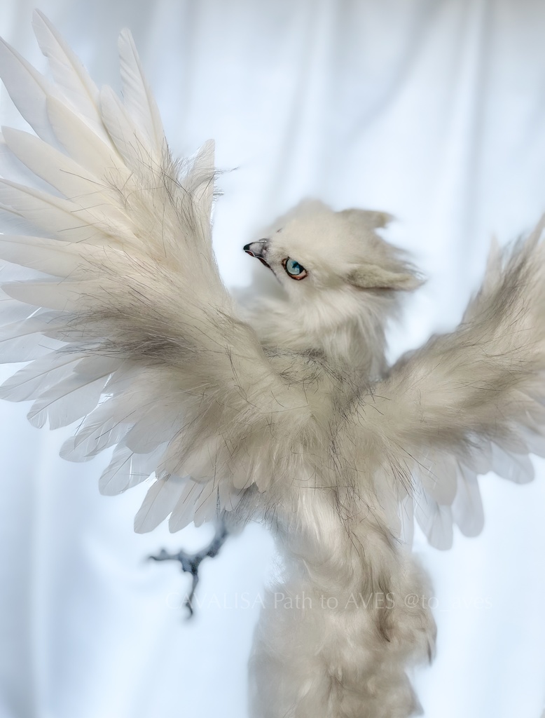 スノーグリフォン