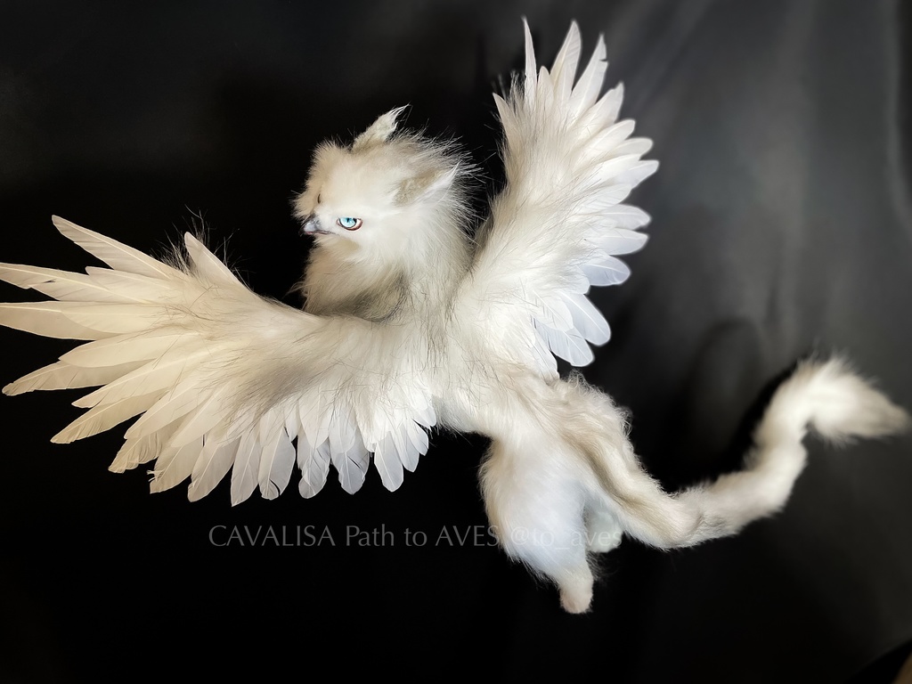 スノーグリフォン