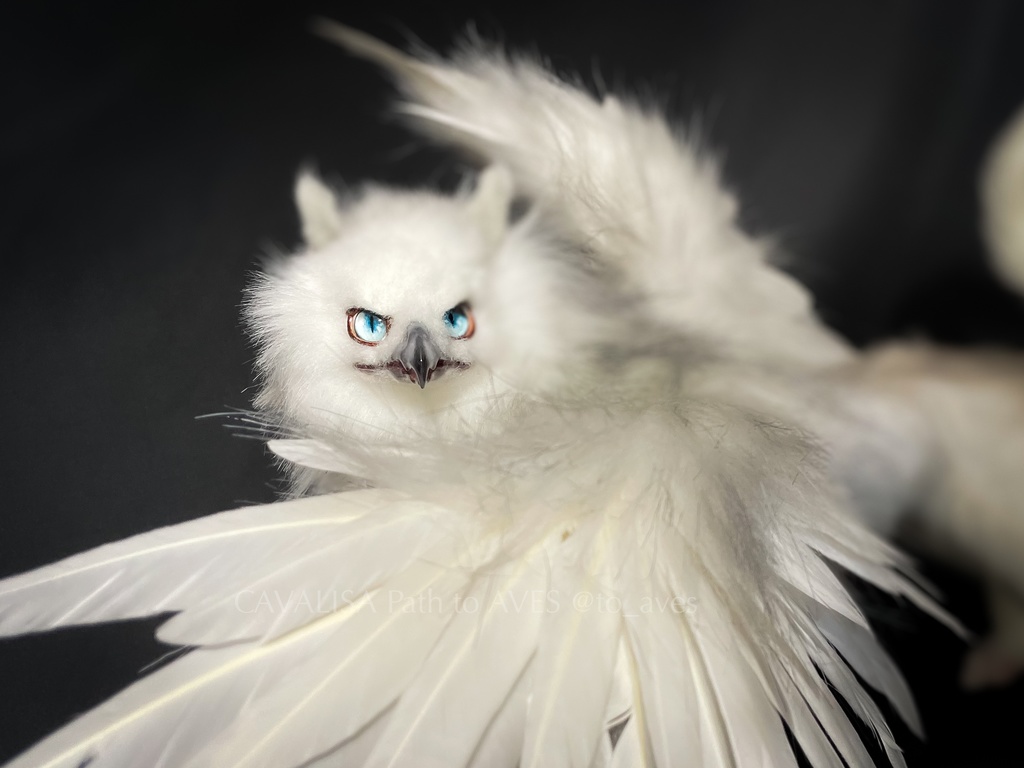 スノーグリフォン