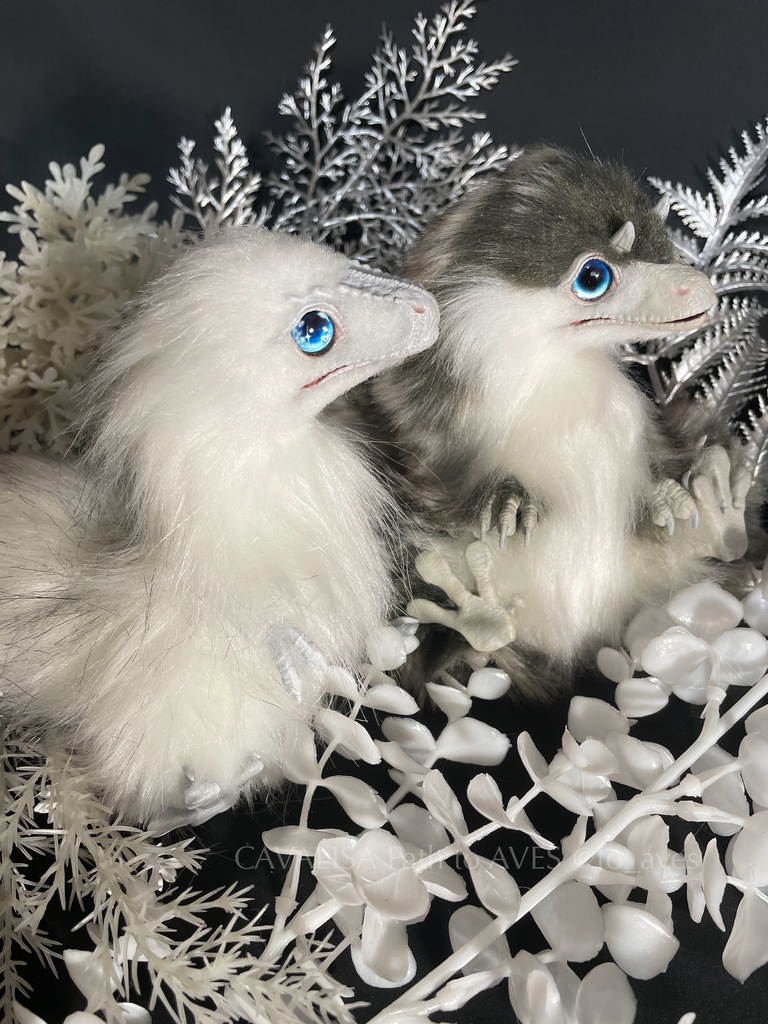 ナヌークサウルス