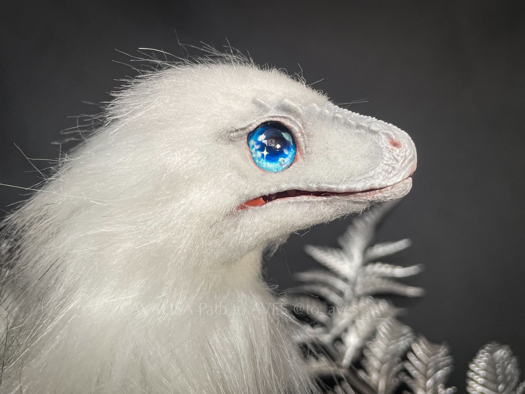 ナヌークサウルス