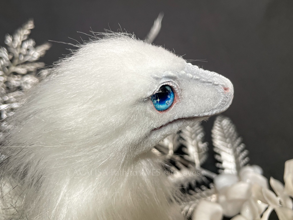 ナヌークサウルス