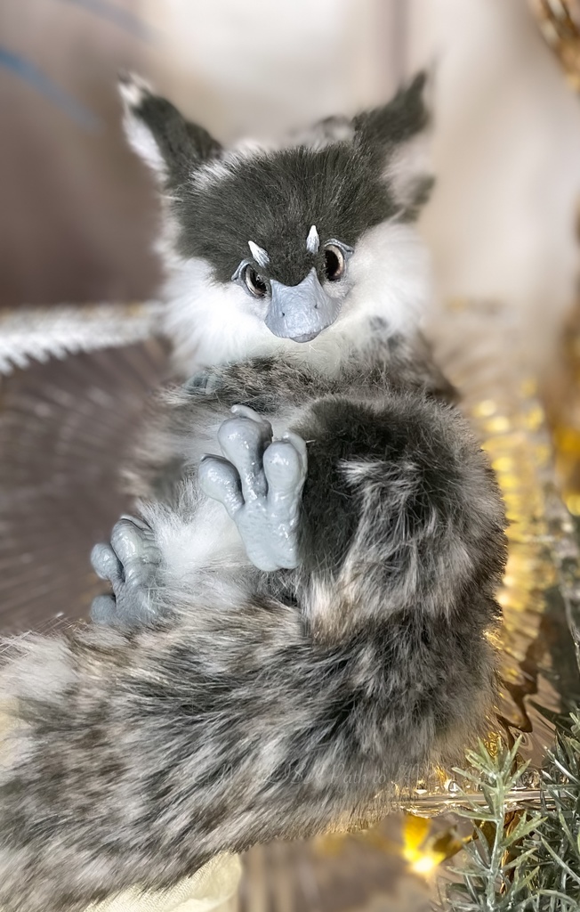 ユウティラヌス・フアリ