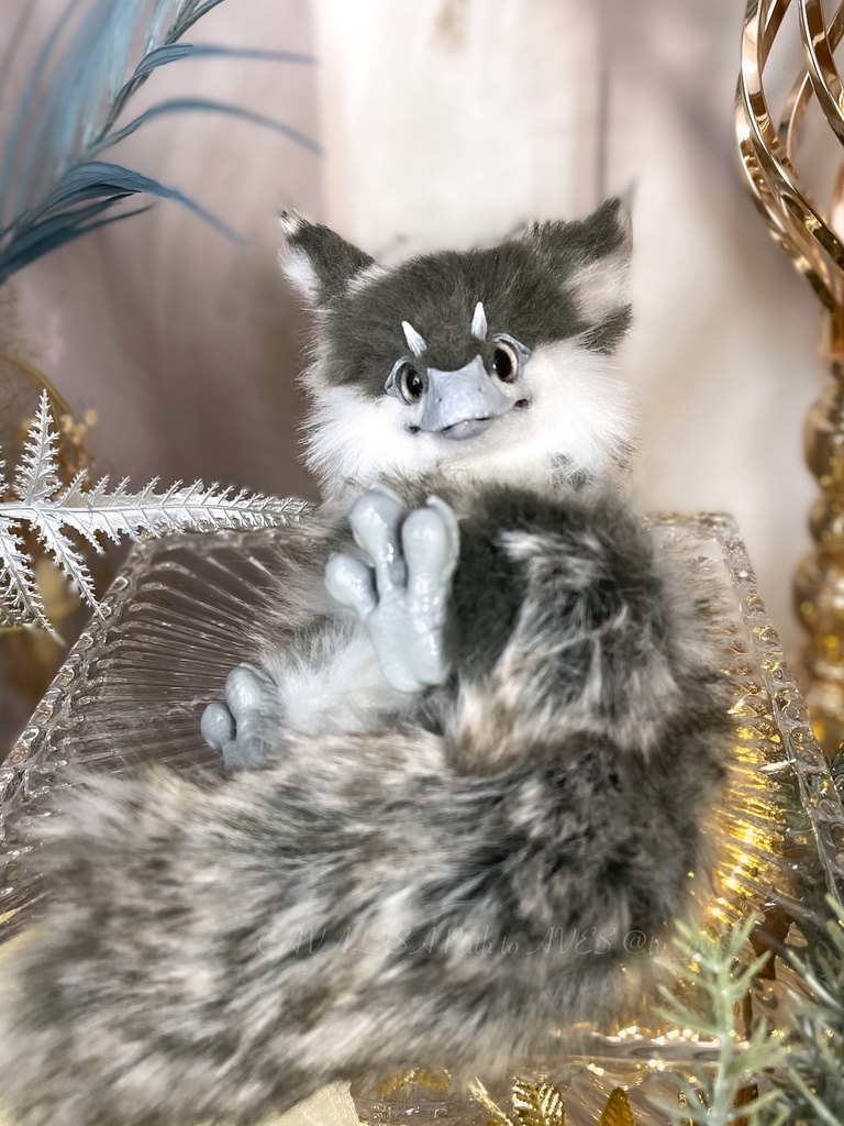 ユウティラヌス・フアリ