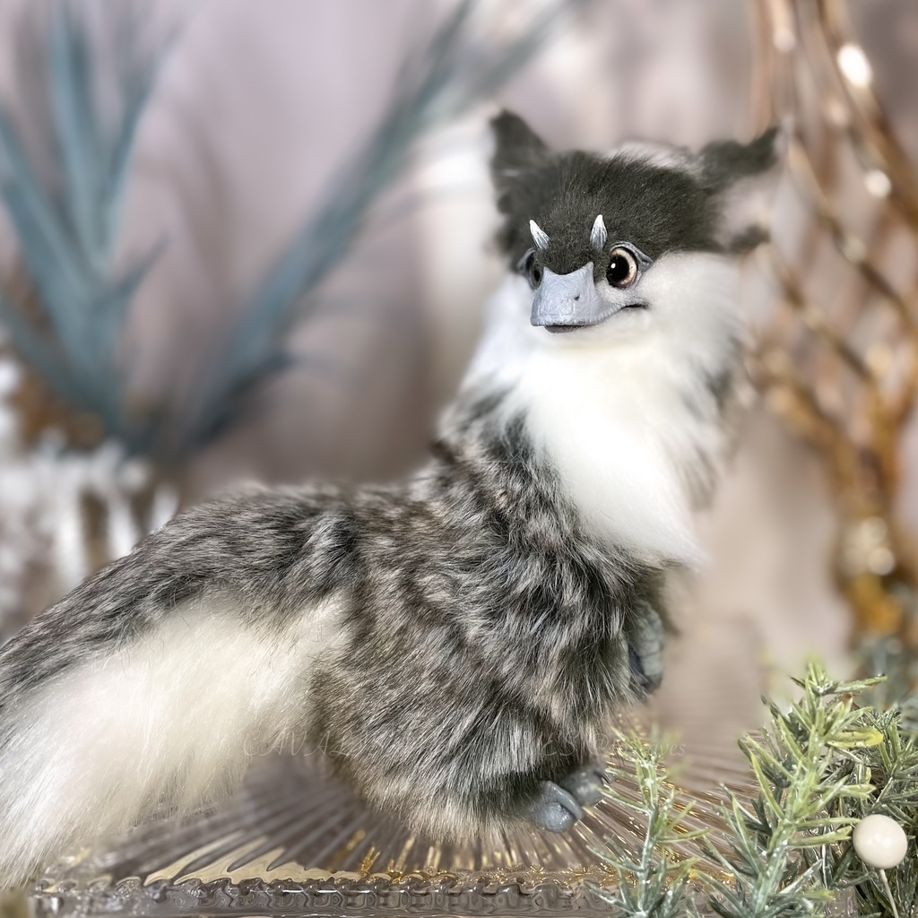 ユウティラヌス・フアリ