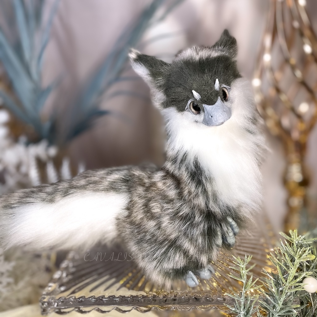 ユウティラヌス・フアリ