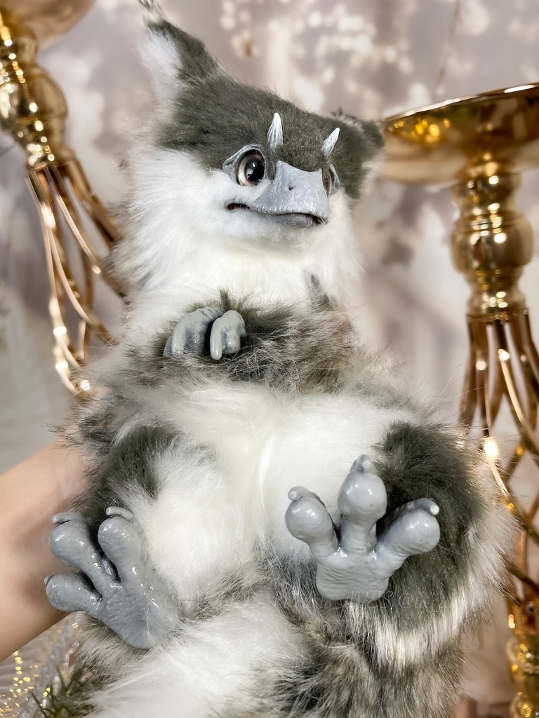 ユウティラヌス・フアリ