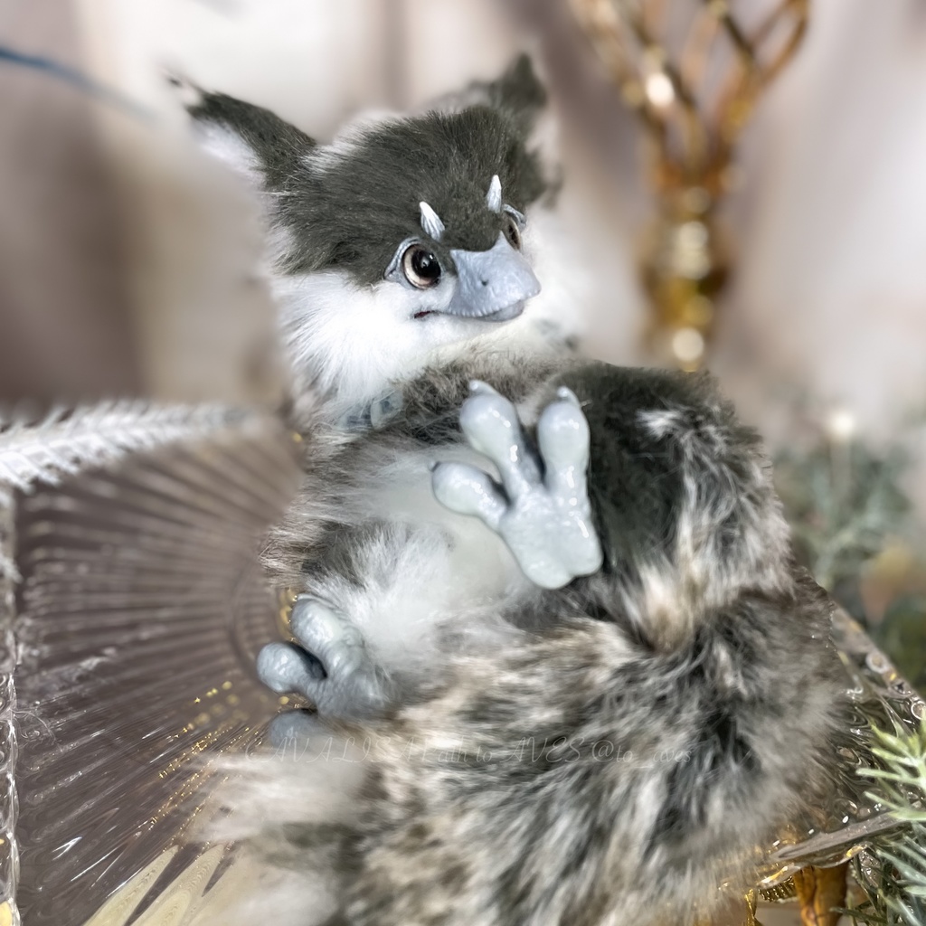 ユウティラヌス・フアリ