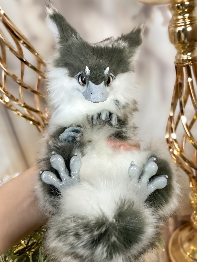 ユウティラヌス・フアリ