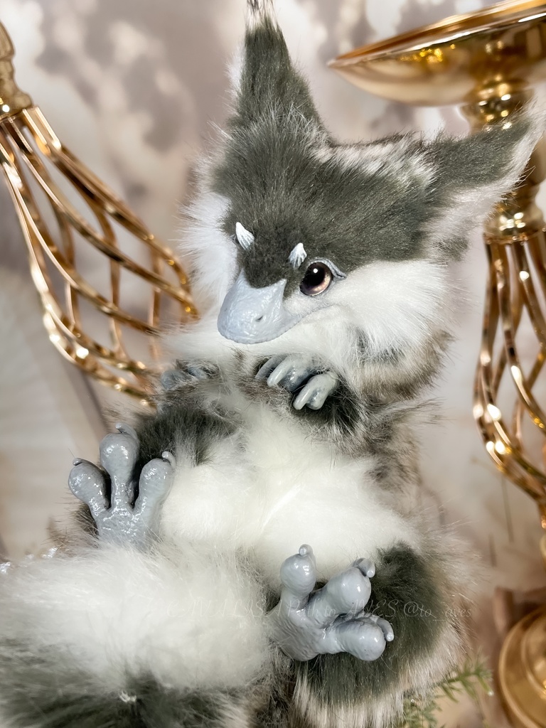 ユウティラヌス・フアリ