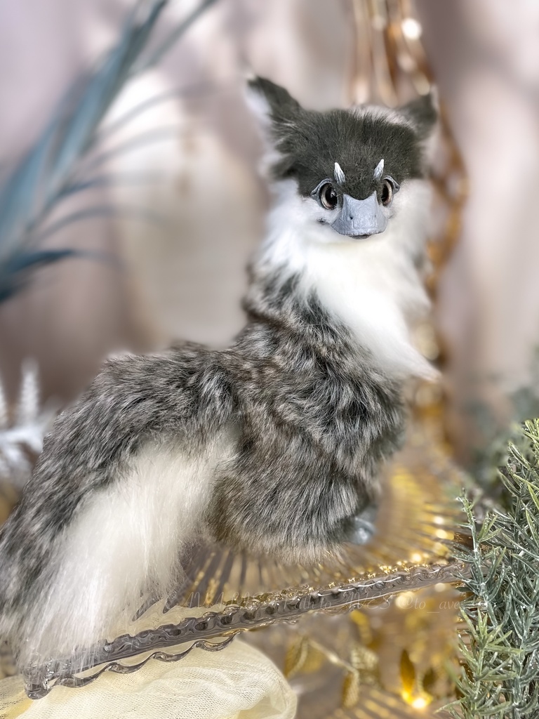 ユウティラヌス・フアリ