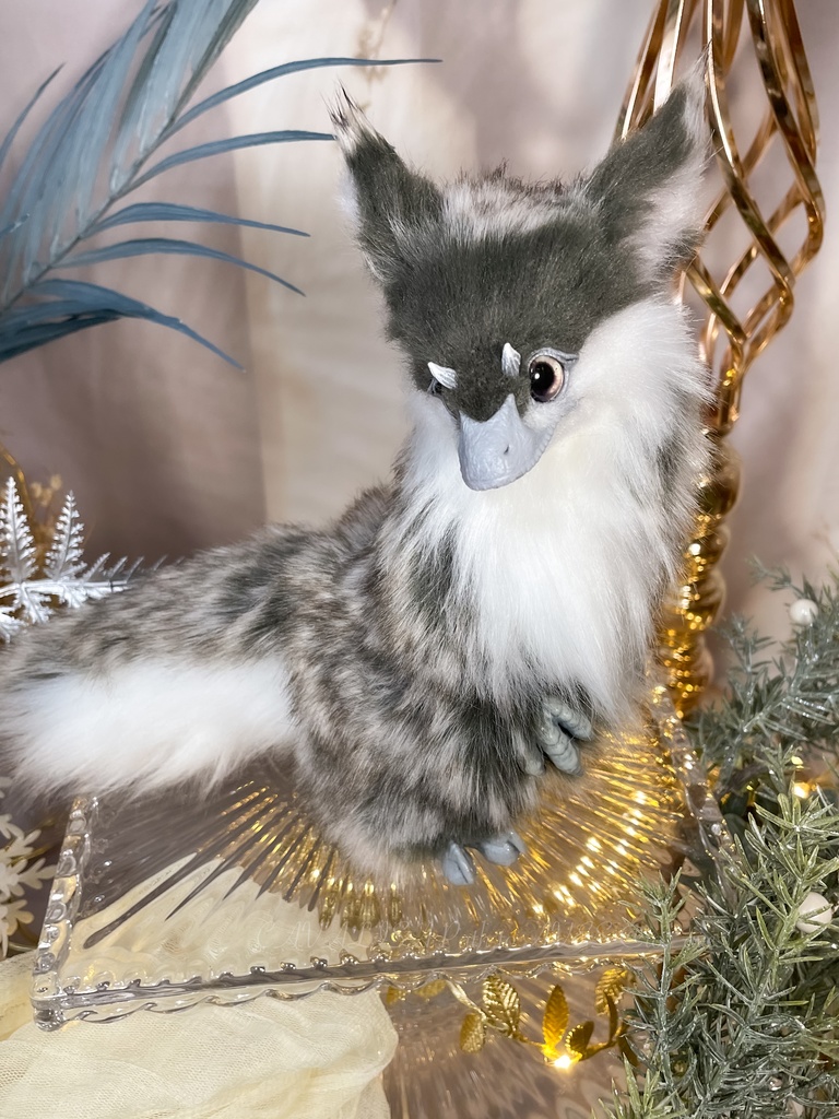 ユウティラヌス・フアリ