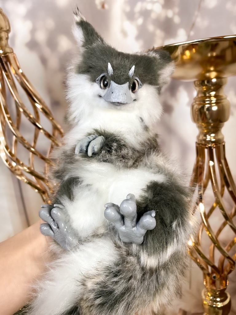 ユウティラヌス・フアリ