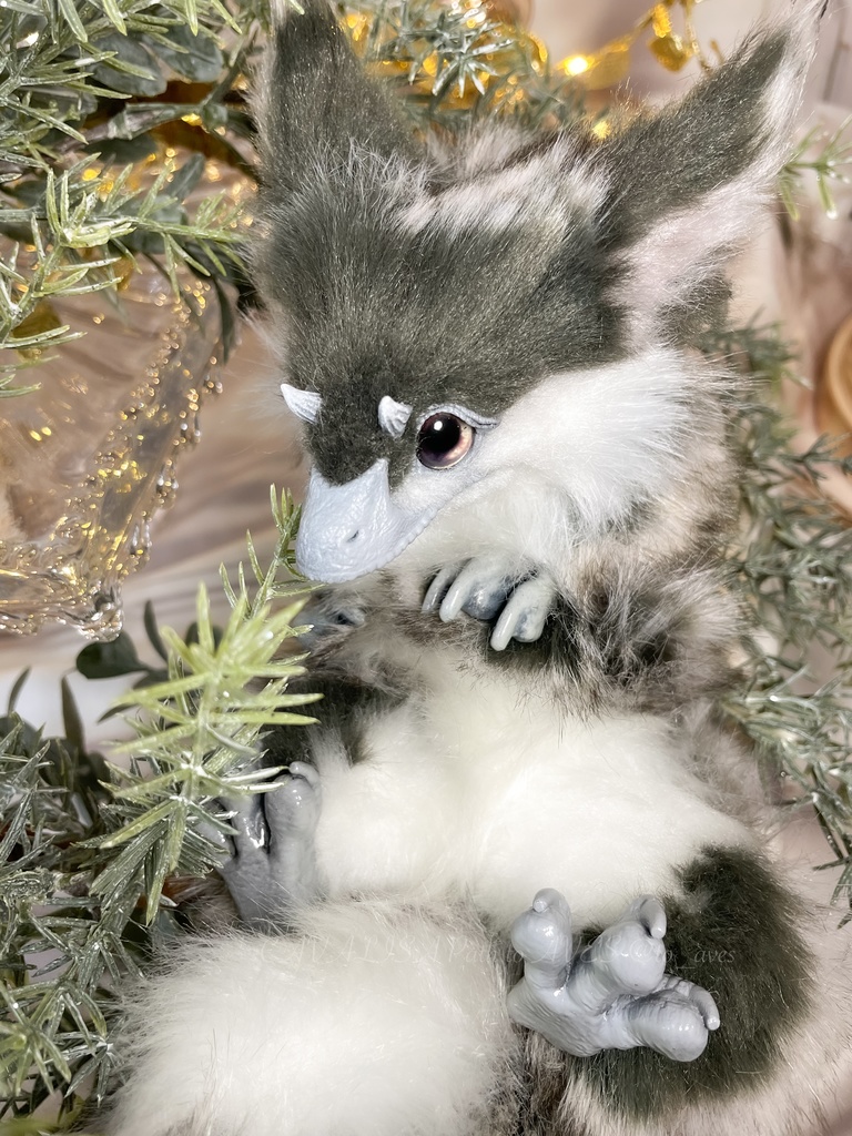 ユウティラヌス・フアリ