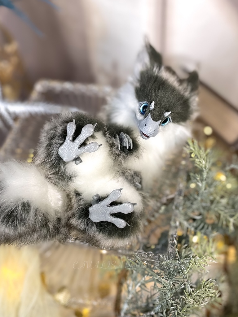 ユウティラヌス・フアリ