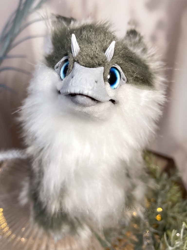 ユウティラヌス・フアリ