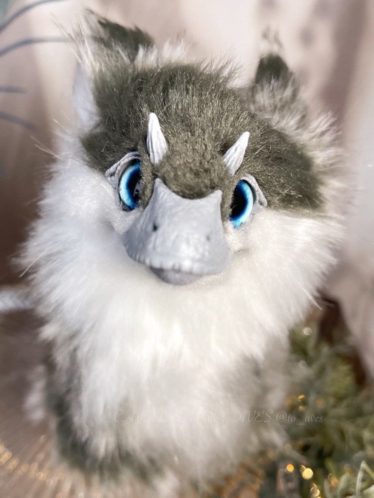 ユウティラヌス・フアリ