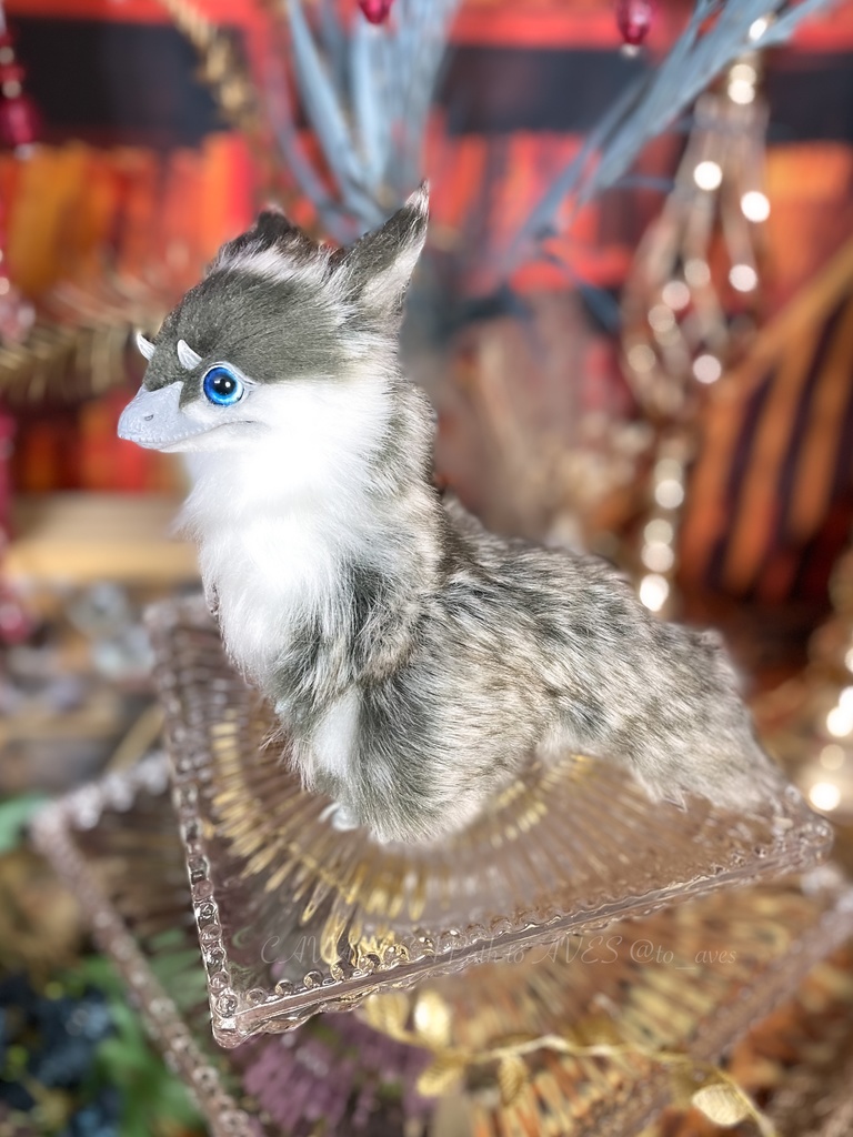 ユウティラヌス・フアリ