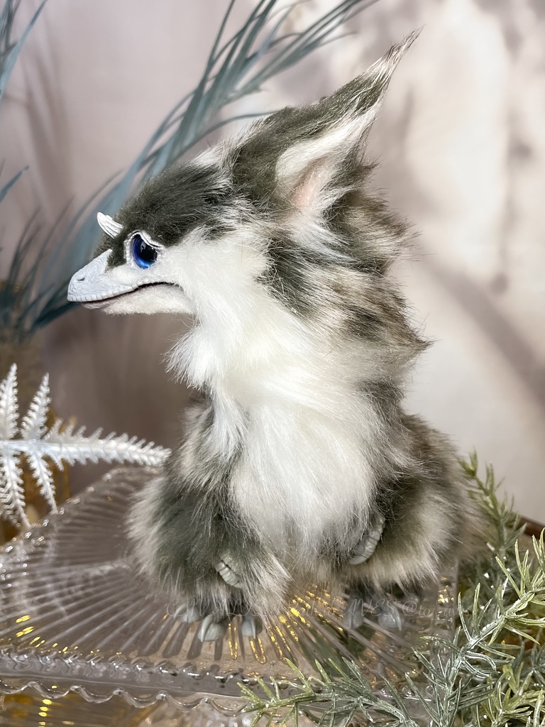 ユウティラヌス・フアリ