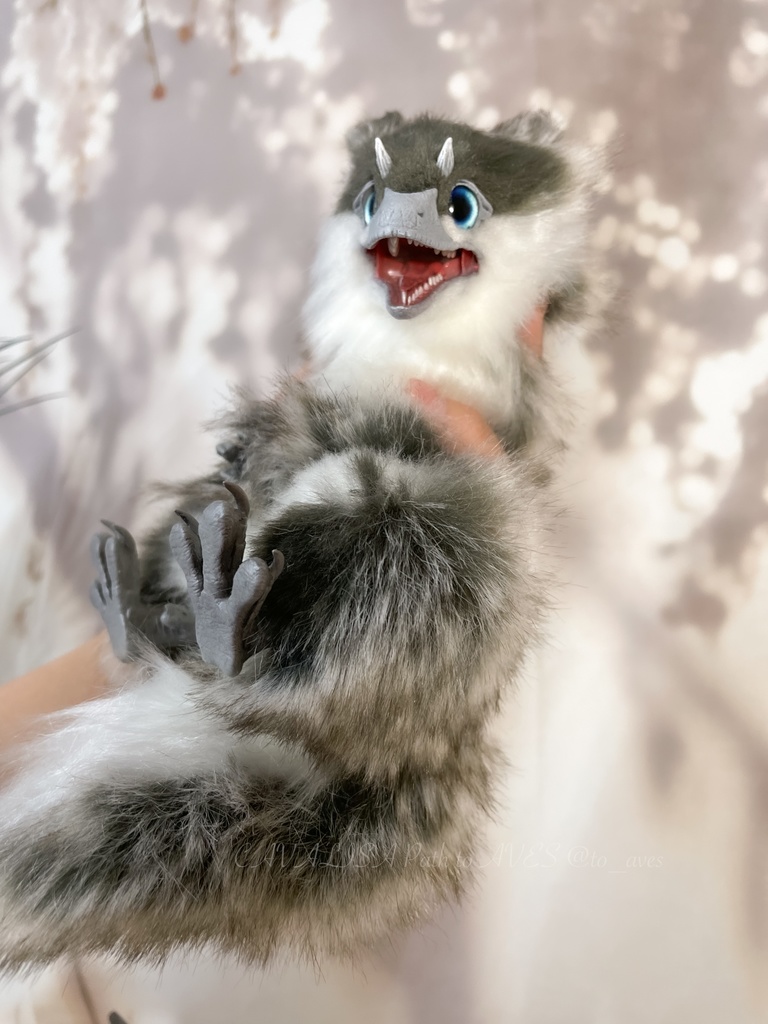 ユウティラヌス・フアリ