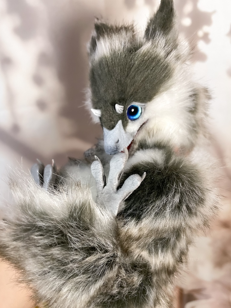 ユウティラヌス・フアリ