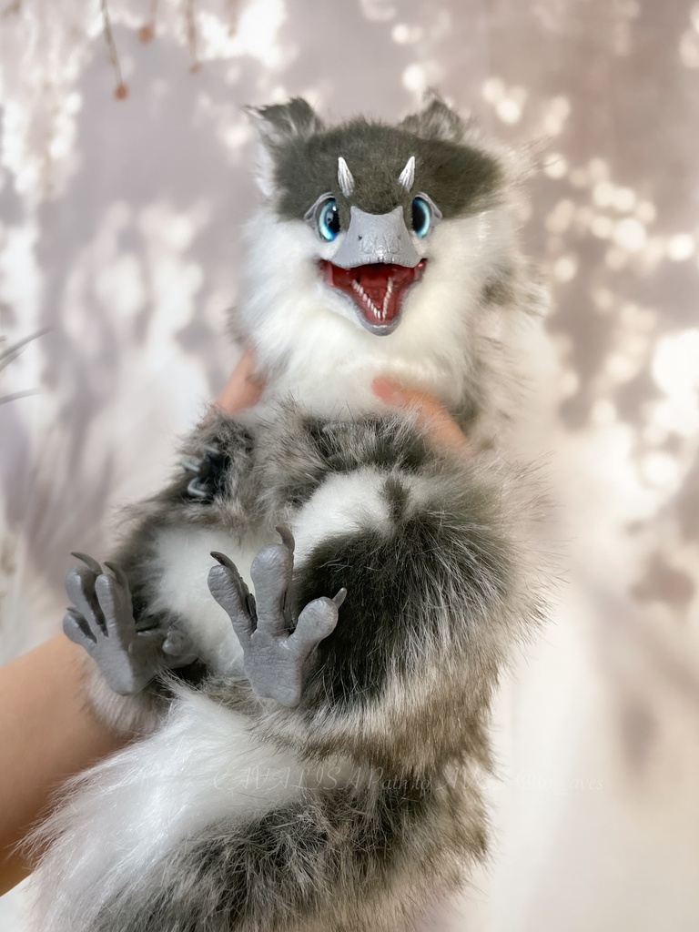 ユウティラヌス・フアリ