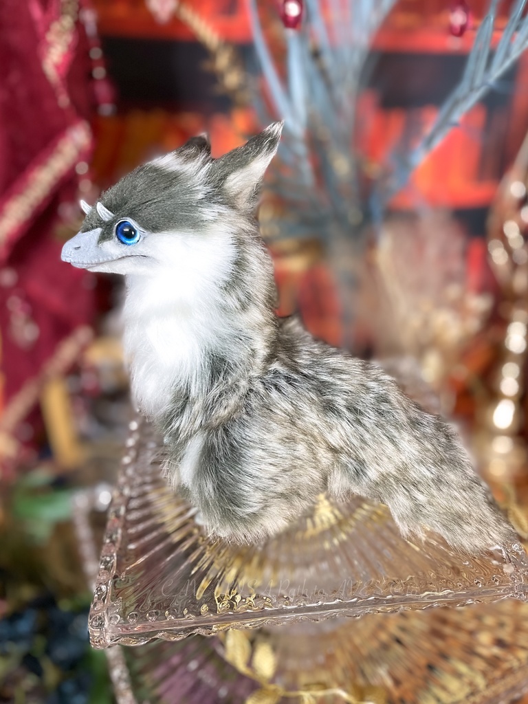 ユウティラヌス・フアリ