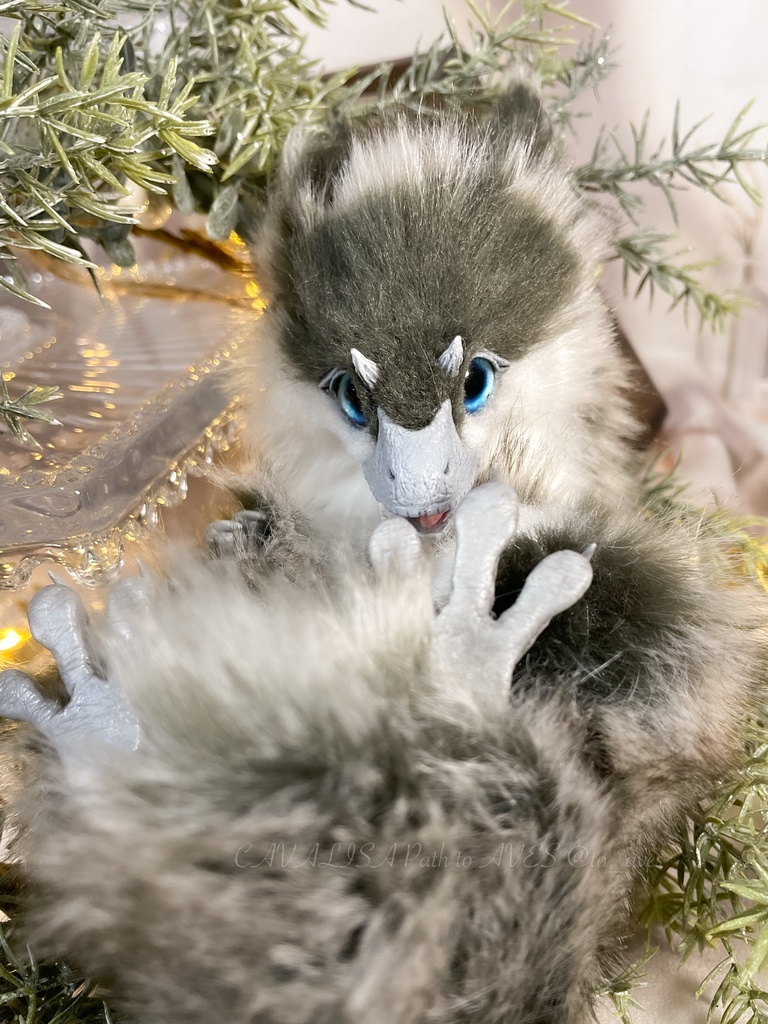 ユウティラヌス・フアリ