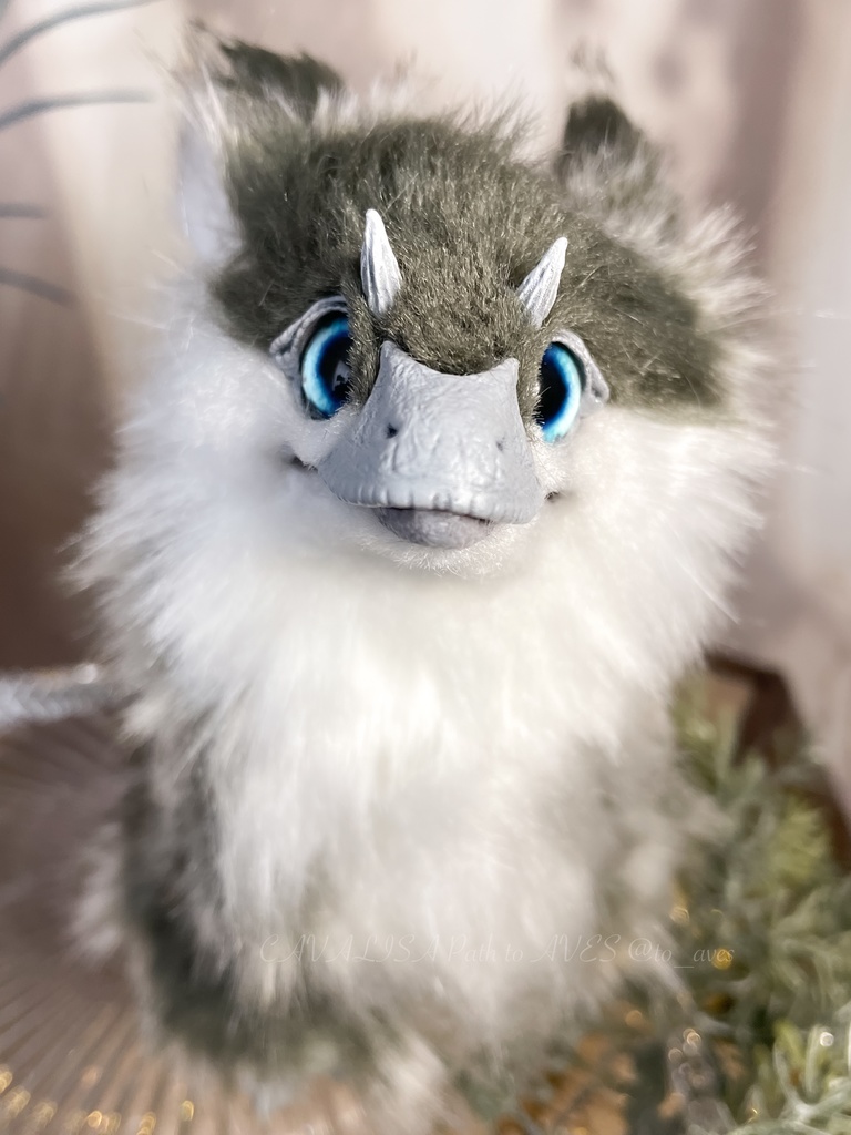 ユウティラヌス・フアリ