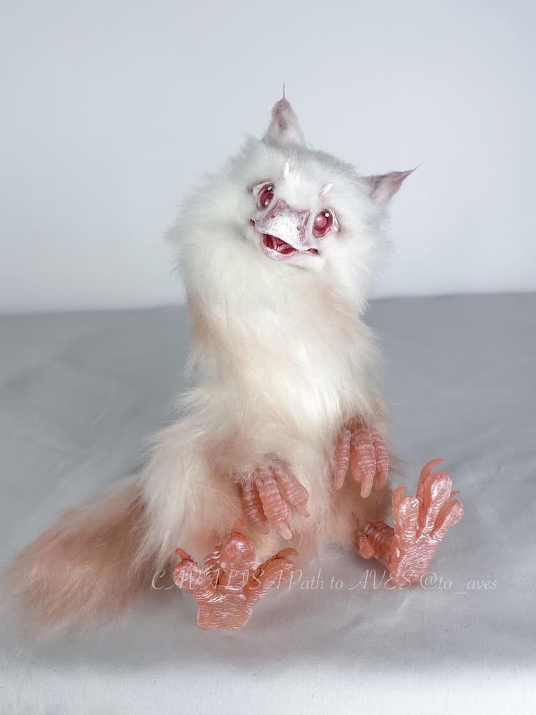 アルビノユウティラヌス