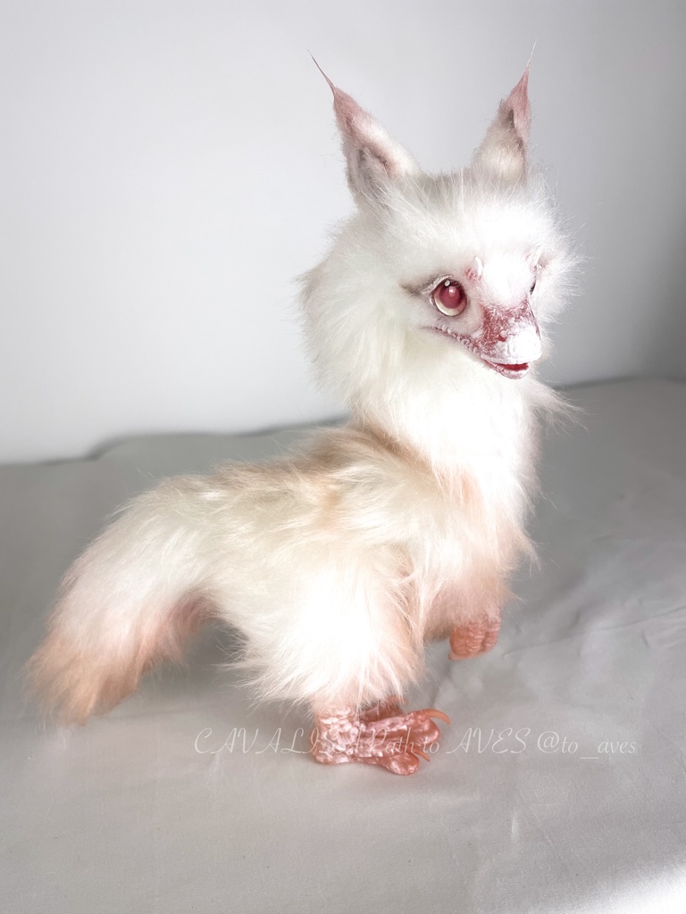 アルビノユウティラヌス