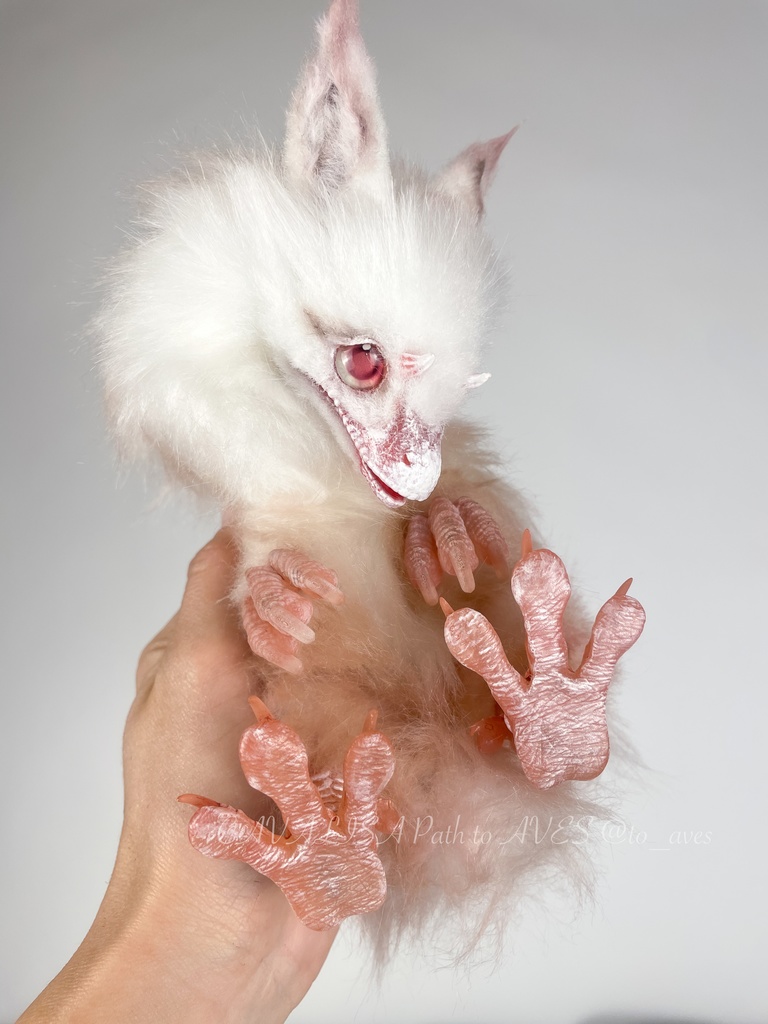 アルビノユウティラヌス