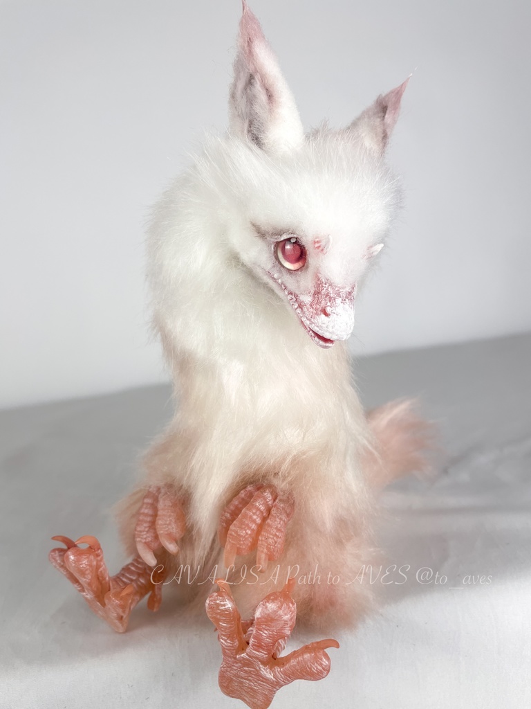 アルビノユウティラヌス